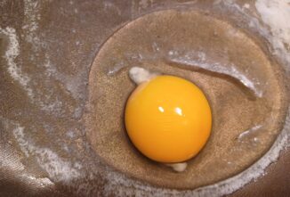 The White Stuff on Egg Yolk is the Chalazae